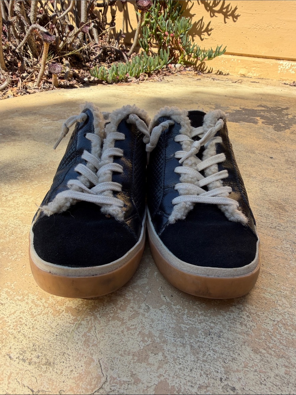 Dolce Vita Black Sneakers with Cream Shearling and Gum Sole